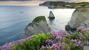 欧洲一级vps(欧洲一级母婴标准是什么)-百变无痕