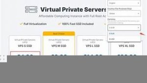 国外老牌vps(国外老牌摇滚女歌手)-百变无痕