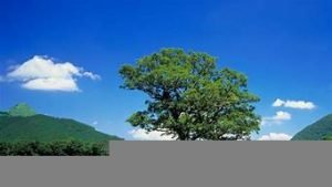 日本高清vps(日本高清xboxone)-百变无痕