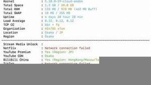 vps怎么样(斯蒂卡vps怎么样)-百变无痕
