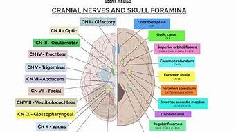 cn2gia线路的vps(走cn2gia线路会被墙吗)-百变无痕