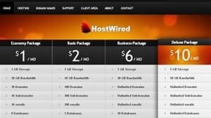 零六零虚拟主机(100m虚拟主机)-百变无痕