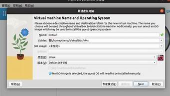 debian虚拟主机搭建(debian虚拟机安装教程)-百变无痕