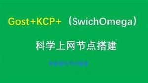 vps节点(VPS节点搭建教程)-百变无痕