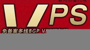新网vps(新网银行是哪个网贷平台)-百变无痕