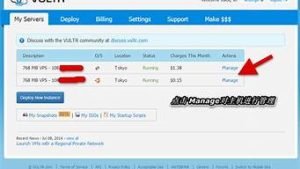 国外购买vps(国外购买黄金入境要交多少税)-百变无痕