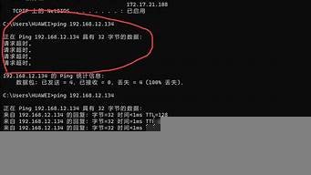 mac主机ping不通虚拟机(mac虚拟机连不上网怎么解决)-百变无痕