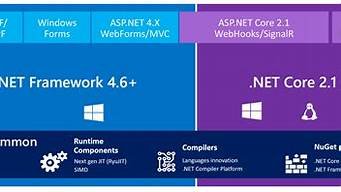 netcore虚拟主机-百变无痕