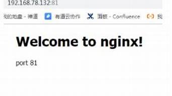 nginx基于端口的虚拟主机(nginx基于ip的虚拟主机)-百变无痕