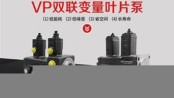 vps20d变量叶片泵(变量叶片泵型号)-百变无痕