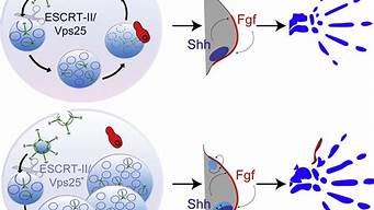 vps25端口-百变无痕