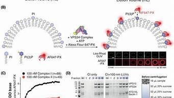 vps34重组蛋白(重组蛋白技术)-百变无痕