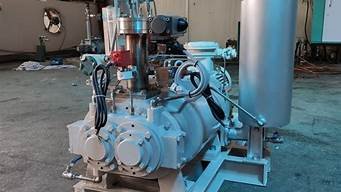 vpsc450螺杆真空泵说明书(阿特拉斯GHS螺杆真空泵说明书)-百变无痕