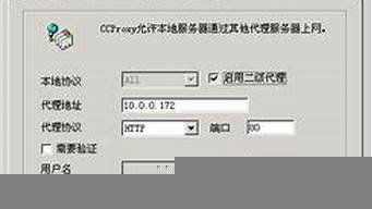 vps做代理服务器(vps做代理服务器怎么样)-百变无痕