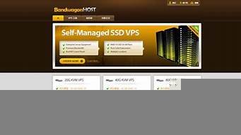 vps可以自己搭建吗(自己搭建vps上外网)-百变无痕