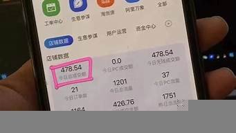 vps挂机项目(vps挂机赚美元)-百变无痕