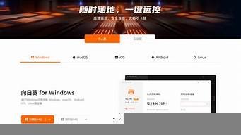 vps远程桌面服务器租(vps远程服务器有什么作用)-百变无痕