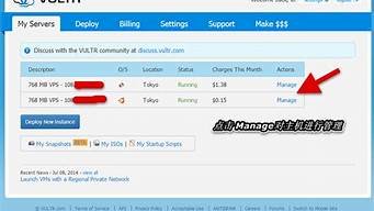 vultr购买vps(vultr购买域名)-百变无痕