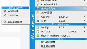 wamp配置虚拟主机(虚拟主机搭建wordpress)-百变无痕