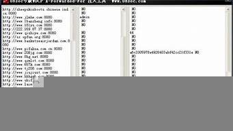 wdcp虚拟主机-百变无痕
