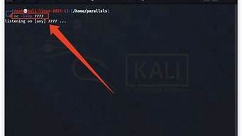 一个vps怎么搞多个ip(一个vps可以搭建几个ip)-百变无痕