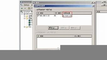 一个虚拟主机怎么建两个网站(一台电脑怎么配置第二个虚拟主机)-百变无痕