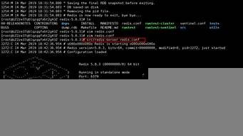 云服务器redis(云服务器配置)-百变无痕