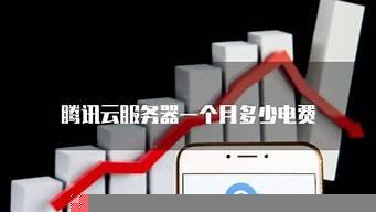 云服务器一个月多少(云服务一个月多少钱一个月)-百变无痕