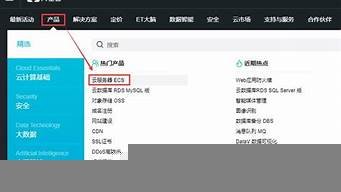 云服务器买哪种好(云服务器)-百变无痕