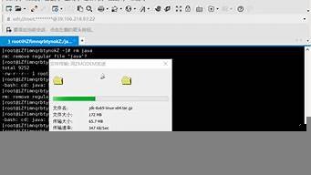 云服务器传输文件(云服务器ecs的计费方式不含以下哪项)-百变无痕
