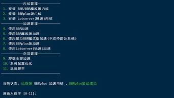 云服务器加速脚本(云服务器加速脚本教程)-百变无痕