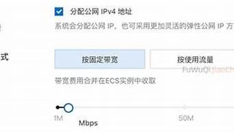 云服务器带宽如何选择(云服务器固定带宽还是流量)-百变无痕