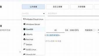云服务器操作系统选什么(云服务器操作系统选哪个)-百变无痕