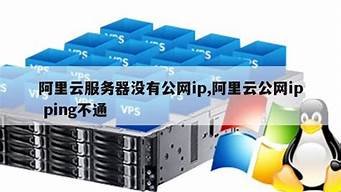 云服务器没有公网ip(云服务器没有公网IP不适合建网站)-百变无痕