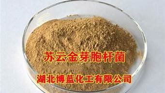 云服务器生产厂家(云服务器生产厂家)-百变无痕