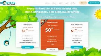 国外云服务器运营商(国外云服务器运营商支持usdt支付)-百变无痕