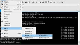 如何向云服务器传输文件(如何向云服务器传输文件到电脑)-百变无痕
