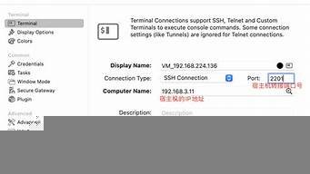 宿主机如何访问虚拟机(宿主机如何访问虚拟机的共享文件夹)-百变无痕