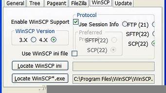 往云服务器传文件(往云服务器传文件要多久)-百变无痕