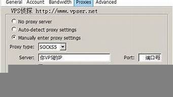 怎么用服务器开vps(pcl怎么开服务器)-百变无痕