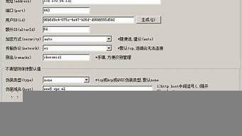怎么自己搭建vps(怎么自己搭建梯子访问外网)-百变无痕