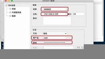 怎么连接虚拟主机(怎么连接虚拟主机上网)-百变无痕