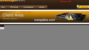 搬瓦工vps使用(搬瓦工VPS的使用方法)-百变无痕