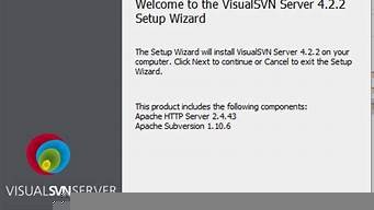 搭建云svn服务器(远程svn服务器搭建)-百变无痕