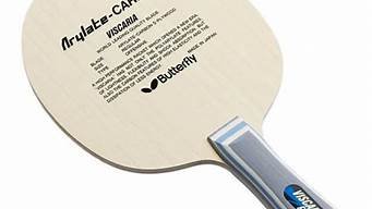 斯蒂卡vps测评(斯蒂卡vps结构)-百变无痕