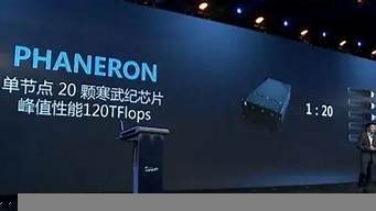 曙光云服务器可以按月(曙光服务器是什么架构)-百变无痕