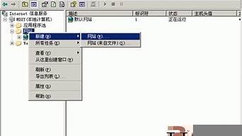 服务器怎么开虚拟主机(服务器怎么做虚拟主机)-百变无痕
