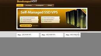 服务器搭建vps教程(服务器怎么搭建vps环境)-百变无痕