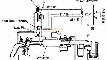 本田vps阀拆除图(本田vps阀在什么位置)-百变无痕