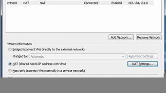 虚拟主机ip访问(虚拟主机怎么看ip地址)-百变无痕